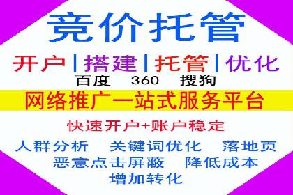 百度广告竞价之成功案例：某行业领军企业的崛起之路